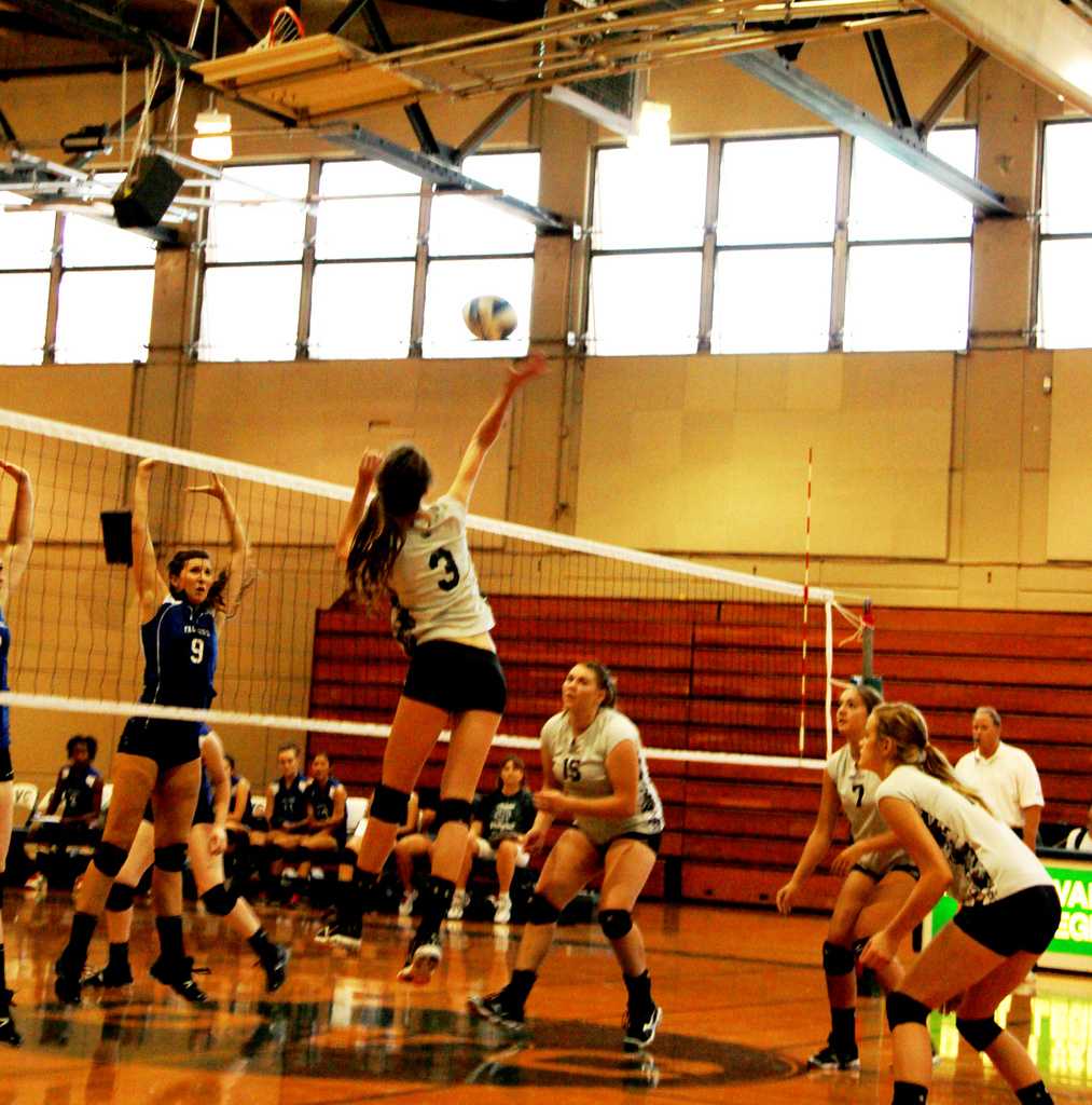 Vikings Volleyball leaves Diablo Valley Classic 1-1