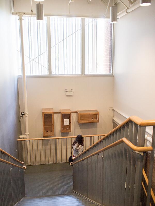 A student looks on to the empty cases where the stolen eagle once was. (Gustavo Vasquez/ The Inquirer)