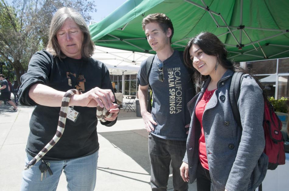 Julie Ross, a volunteer for the Lindsay Wildlife, Museum exhibits a snake to Diablo Valley College students Patrick Demers and Janis Llamas Garcia on Tuesday, April. 22, 2014 at the Pleasant Hill DVC campus for Earth Day.