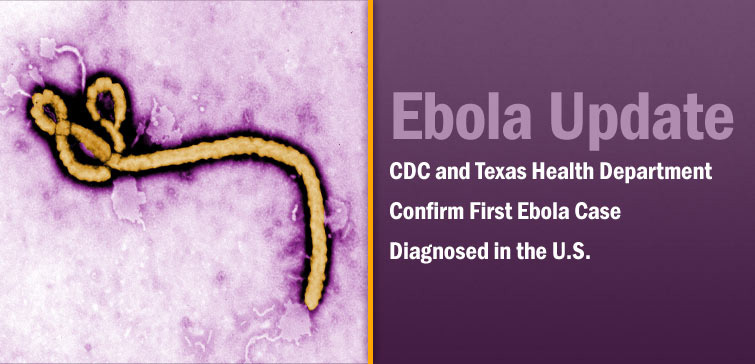 The Ebola virus as depicted on the CDC.gov website.
