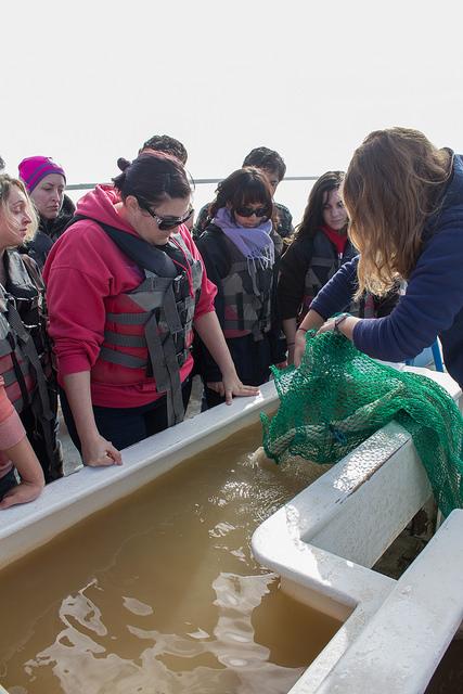 DVC oceanography students gathered around to take a look at what they had collected from the Bay on February 21st, 2015 during their field trip out in Antioch.