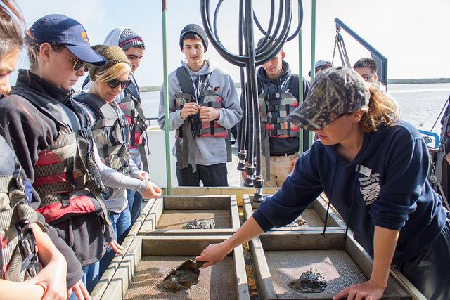 DVC oceanography students gathering around a wash station to get a closer Look at the mud they collected from the bottom of the bay on February 21st, 2015 on their field trip at Antioch.