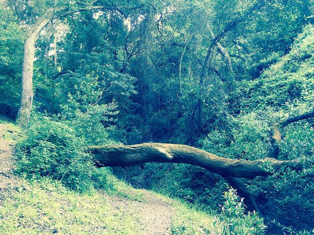 Briones Regional Park , Reliez Valley entrance.  