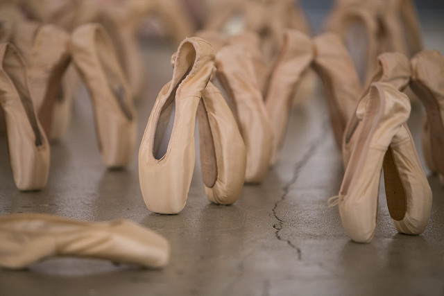 Pointe shoes for the gallery were donated by SF Dancewear