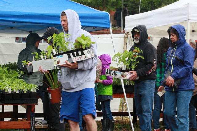 Guests of the spring fling beat the rain to get plants for their home gardens on April 9 at Rodgers Ranch in Pleasant hill, Ca.