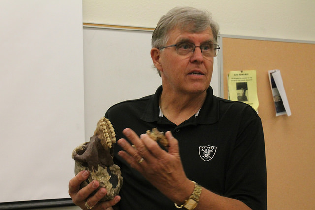 Professor Steve Johnson compares two skulls. 