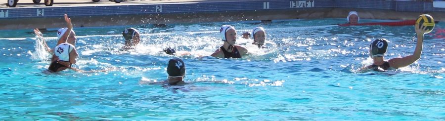 Womens water polo battles Sierra on Sep. 21 at home.