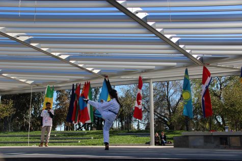 Member of the Tae Kwon Do Club at DVC performing a short demonstration during the end of the International Education Day event Thursday Nov 17 2016 in the DVC quad.