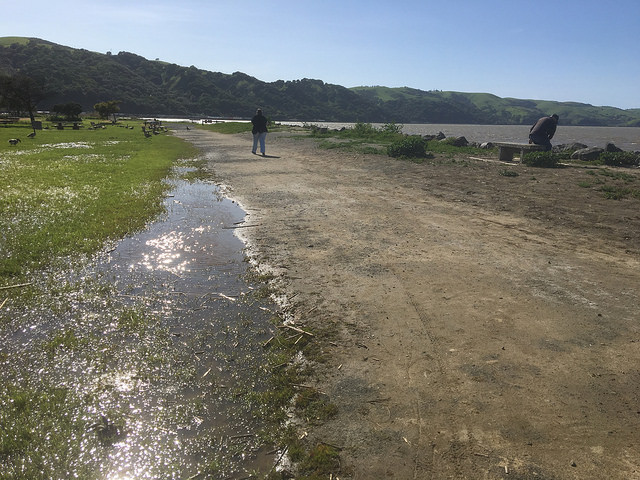 Trails Challenge series: Martinez Regional Shoreline offers tranquility to visitors