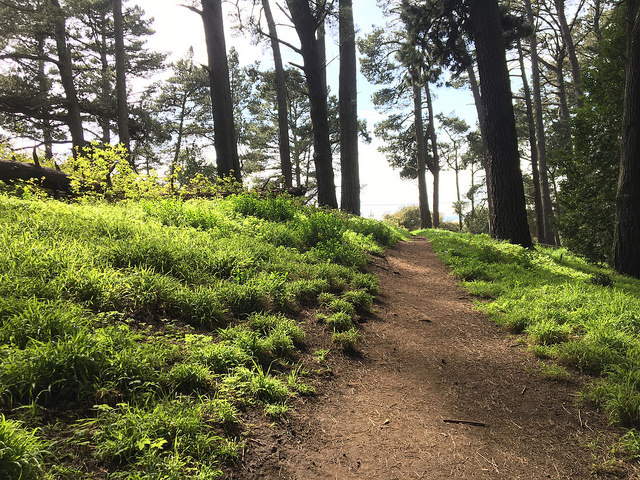 Visitorship to the East Bay Regional Park District has increased 78% since 2000.