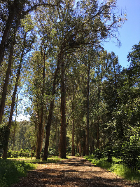 Kennedy Grove Regional Recreation Area is very popular with families.