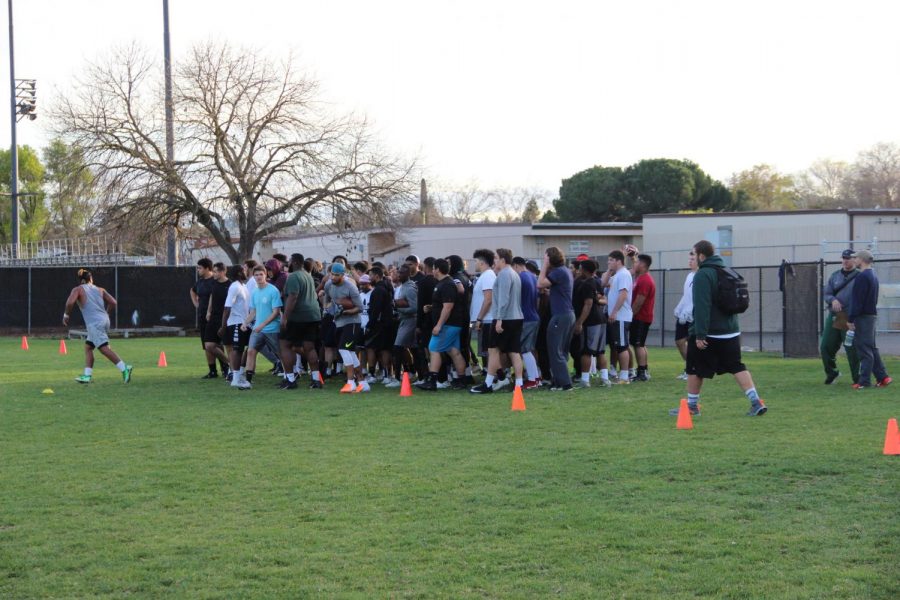 The Diablo Valley College Vikings hold a spring practice (Luis Lopez/The Inquirer)