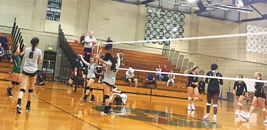 Diablo Valley Colleges womens volleyball team celebrates after getting a kill against Delta on Wednesday, Oct. 11, 2018. (Isabel Villalobos/The Inquirer)