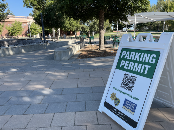 The Struggle to Park: Congestion Leads to Complaints As Students Return to Campus