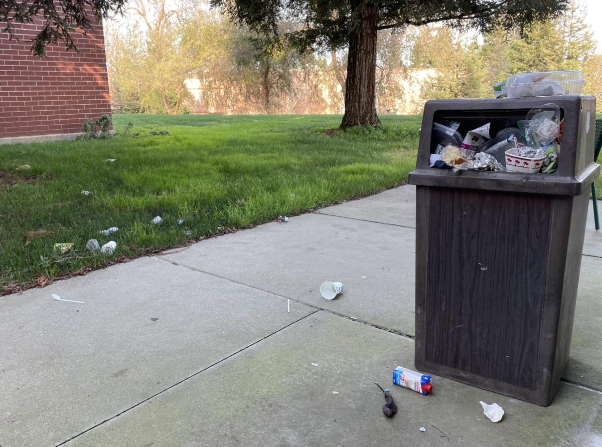 A DVC trash can filled with waste, including compostable and recyclable material.