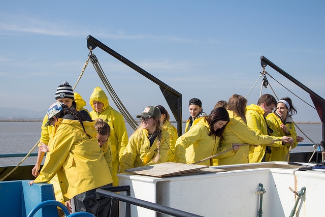 DVC oceanography students and a science instructor Stephanie Weiner pulling the fishing nets out of the water in order to collect the specimens to identify on their February 21st, 2015 field trip out in Antioch. 